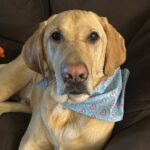 hank aug 26