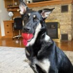 Maizie
